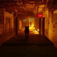 PS5/PS4用『Stray』パッケージ版の店舗別予約購入特典発表―スペシャルエディション同梱内容の一部変更も