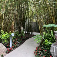 ロサンゼルスのライアットゲームズ本社に潜入…全ての家庭用ゲーム機が集まる部屋やゲーセンまで完備？ゲーム愛に溢れる社屋をレポート