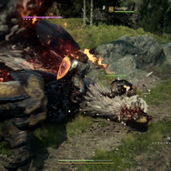 『ドラゴンズドグマ 2』は“正統進化”した「王道ファンタジーアクションの帰還」―迫力満点のフォトスポットでは覚者になれる！？【TGS2023】