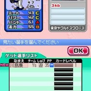 プロ野球 ファミスタDS 2010