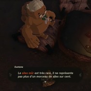 ケンタッキーが『ゼルダの伝説 ティアキン』でチキンを作るRTA大会を開催！優勝者に“黄金のチキン像”（約170万円相当）がプレゼントされる