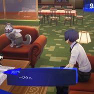 『ペルソナ3 リロード』要素盛り沢山の寮生活に焦点を当てた特別映像公開!家庭菜園や料理で仲間と親交を深める