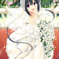 鉄道擬人化美少女がずらり！2Dフルアニメビジュアルノベル『レヱル・ロマネスク origin』店舗別特典発表―『まいてつ pure station』完全版作品