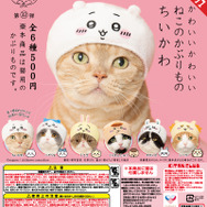 ちいかわとコラボした「ねこのかぶりもの」が反則級の可愛さ！ハチワレ、モモンガら全6種をラインナップ