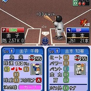 プロ野球 ファミスタDS 2010