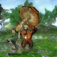 真・三國無双 MULTI RAID 2