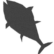 剣と魔法と学園モノ。2