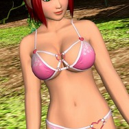 DEAD OR ALIVE Paradise