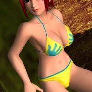 DEAD OR ALIVE Paradise