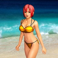 DEAD OR ALIVE Paradise