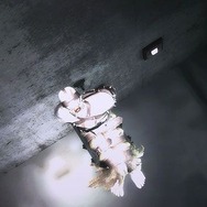 バイオハザード/ダークサイド・クロニクルズ