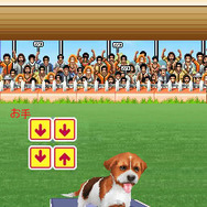 ワンコと一緒♪