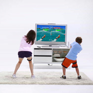 EA SPORTS アクティブ パーソナルトレーナーWii 6週間集中ひきしめプログラム