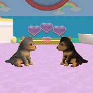 かわいい子犬DS3