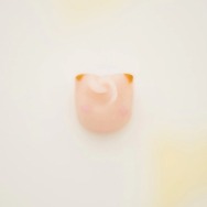 食べるのがもったいない！？ 「ピカチュウ」らが描かれる「ポケモン京菓子」のオンライン先行販売が本日31日13時より開始