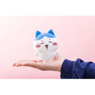 ちいかわ」“エ～？”な笑顔が可愛い！「ハチワレとごきげんな