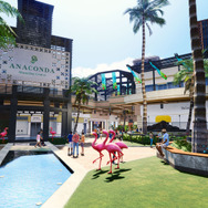 『龍が如く8』序盤ストーリーと主要人物たちの詳細公開！新パーティで巡る「ハワイ」の魅力もお届け