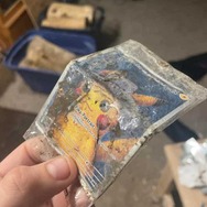 海外ファンの元に届いた「ゴッホピカチュウ」が飼ってたヤギや七面鳥にめちゃくちゃにされる…七面鳥は感謝祭で食卓へ