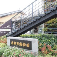 ピクミン ブルーム今年最後のツアー「Pikmin Bloom Tour 2023：京都（岡崎エリア）」レポート。もちろんNintendo KYOTOにも行ってきました