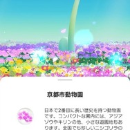 ピクミン ブルーム今年最後のツアー「Pikmin Bloom Tour 2023：京都（岡崎エリア）」レポート。もちろんNintendo KYOTOにも行ってきました
