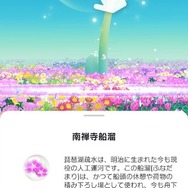 ピクミン ブルーム今年最後のツアー「Pikmin Bloom Tour 2023：京都（岡崎エリア）」レポート。もちろんNintendo KYOTOにも行ってきました