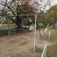 ピクミン ブルーム今年最後のツアー「Pikmin Bloom Tour 2023：京都（岡崎エリア）」レポート。もちろんNintendo KYOTOにも行ってきました