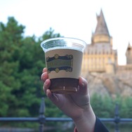 USJで“クリスマス・ナイトショー”！特別なマリオやエルモたちとも会えるユニバの冬を、一足先に体験してきた