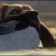 愛犬が飼える！犬とともに狩猟スローライフ『theHunter: Call of the Wild』最新DLC「Labrador Retriever」リリース