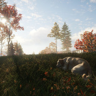 愛犬が飼える！犬とともに狩猟スローライフ『theHunter: Call of the Wild』最新DLC「Labrador Retriever」リリース