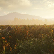 愛犬が飼える！犬とともに狩猟スローライフ『theHunter: Call of the Wild』最新DLC「Labrador Retriever」リリース