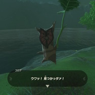 もう疲れちゃって 全然動けなくてェ…『ゼルダの伝説 ティアキン』「旅コログ」のぬいぐるみが本日29日発売！