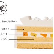 ファミマで「ちいかわのクリスマスケーキ」が数量限定販売！柄尻にちいかわが付いた「オリジナルスプーン」もセットに