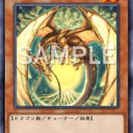 ※画像は「遊戯王OCG デュエルモンスターズ カードデータベース」からのスクリーンショット。