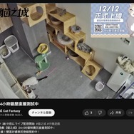 サイバーパンクな猫美少女擬人化RPGがハイクオリティで楽しそう。あの『雷電』が復活!?―次なるヒット作を探せ!日本未上陸の注目ゲームアプリ3選【2023年12月3日】