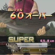 バスフィッシングWii ワールドトーナメント