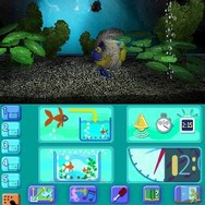 アクアリウムwithクロック