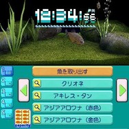 アクアリウムwithクロック