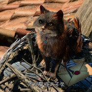 【お知らせ】インサイド×『バルダーズ・ゲート３』Xコラボ開催―超大作RPGの世界にインサイドちゃんずが突入！