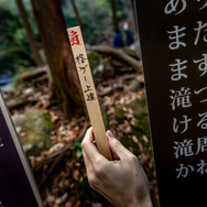 初心者でも“グラブル格ゲー”『GBVSR』は楽しめるのか？ 鞭打ちから滝行まで、「強くなるため」に修行してきた