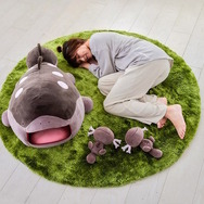 ポケモン新グッズ「いやされドオーぬいぐるみ」追加予約が実施