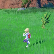 『ポケモンSV ゼロの秘宝』幻のポケモン「メロエッタ」をゲットできる“隠し技”が発見！その出現方法を紹介