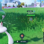 『ポケモンSV ゼロの秘宝』相棒との冒険を再び！御三家ポケモン全24匹の出現方法・生息地ひとまとめ