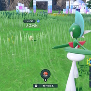 『ポケモンSV ゼロの秘宝』相棒との冒険を再び！御三家ポケモン全24匹の出現方法・生息地ひとまとめ