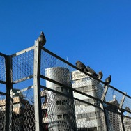 『ブレイドアンドソウル2』は武侠的な世界で楽しみが押し寄せてくるMMORPG！ゲーミングレポーター響がゲーム内を街ブラしてみた