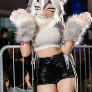 ケモコス／Nekoneko JX（X：@NekonekoJX）