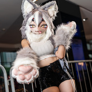 ケモコス／Nekoneko JX（X：@NekonekoJX）