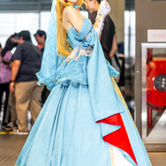 ゼルダ姫『ゼルダの伝説』／Runa（Instagram：r.runa_）