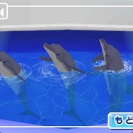 みんなの水族館