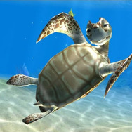 来年7月に終了！いまからでも遅くない、アーカイブ的な観点から抑えたいXbox 360ダウンロード作品を一挙紹介【年末年始特集】