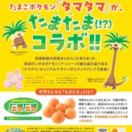 『ポケモン』のタマタマと「たまたま」がコラボレーション！洗って皮ごと食べられる甘くて大きな宮崎県のたまたま